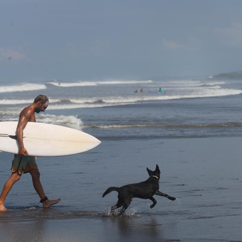 in_da_surfbali_358063253_575050571464180_7050826952363394922_n